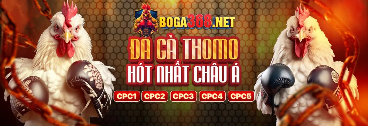 Đội ngũ hỗ trợ khách hàng chuyên nghiệp của 286bet đăng nhập
